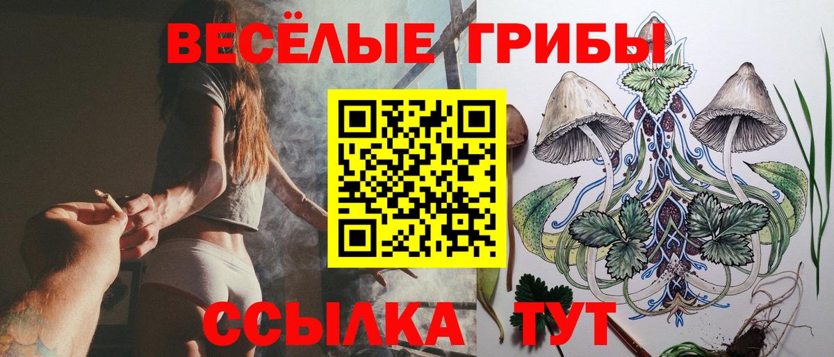 Галлюциногенные грибы мухоморы  Вход с VPN  Кисловодск 